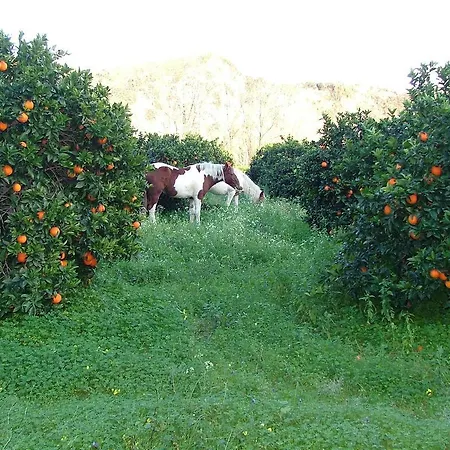 Hébergement de vacances In Stilo With Garden